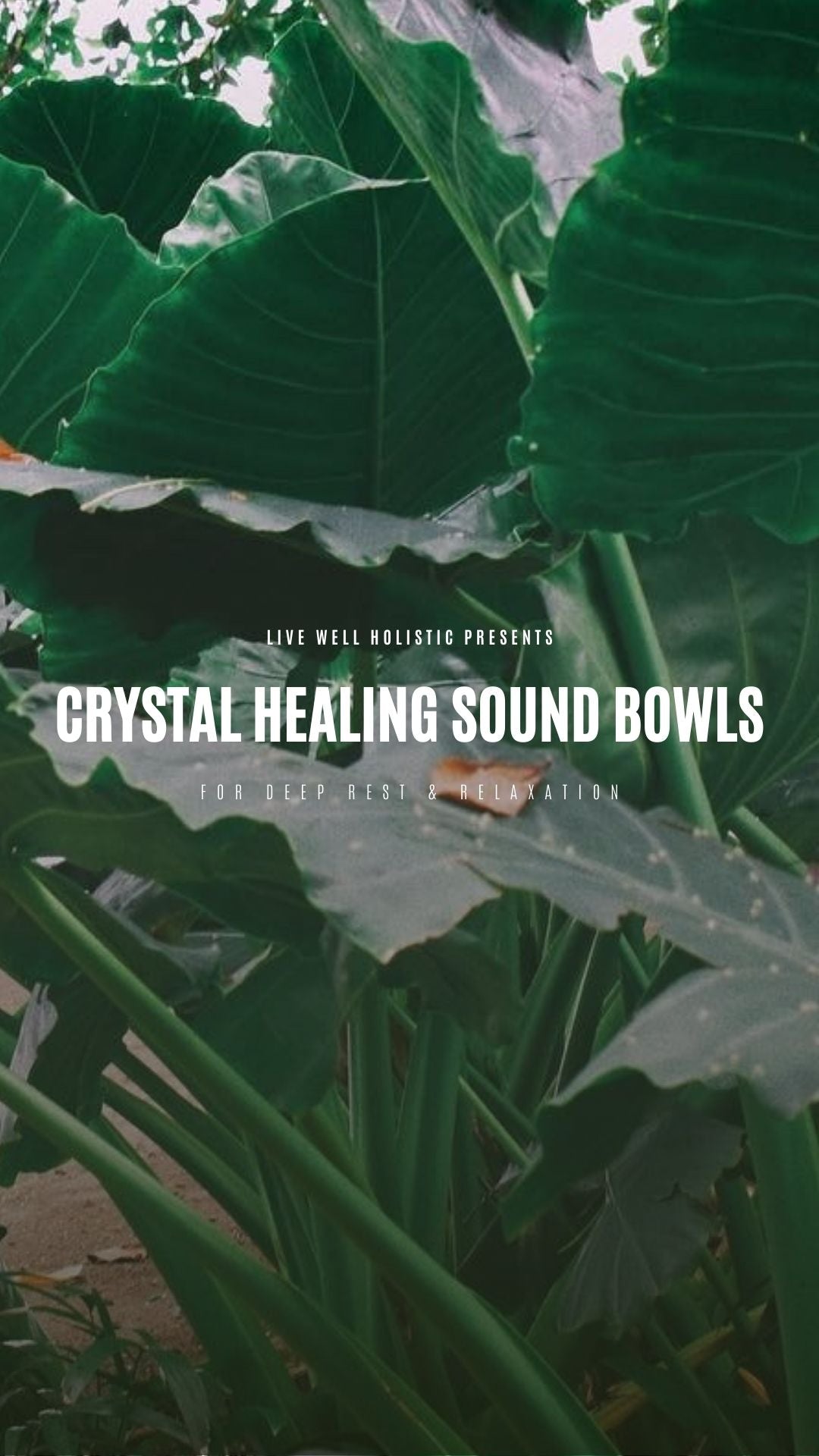 A Candlelit Group Sound Journey Experience