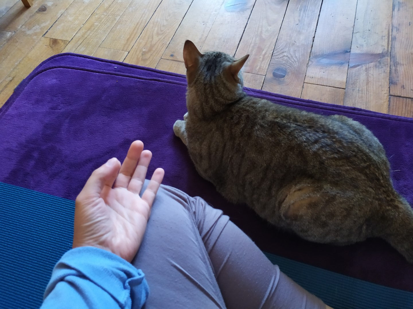 Private Online Embodied Yoga Session