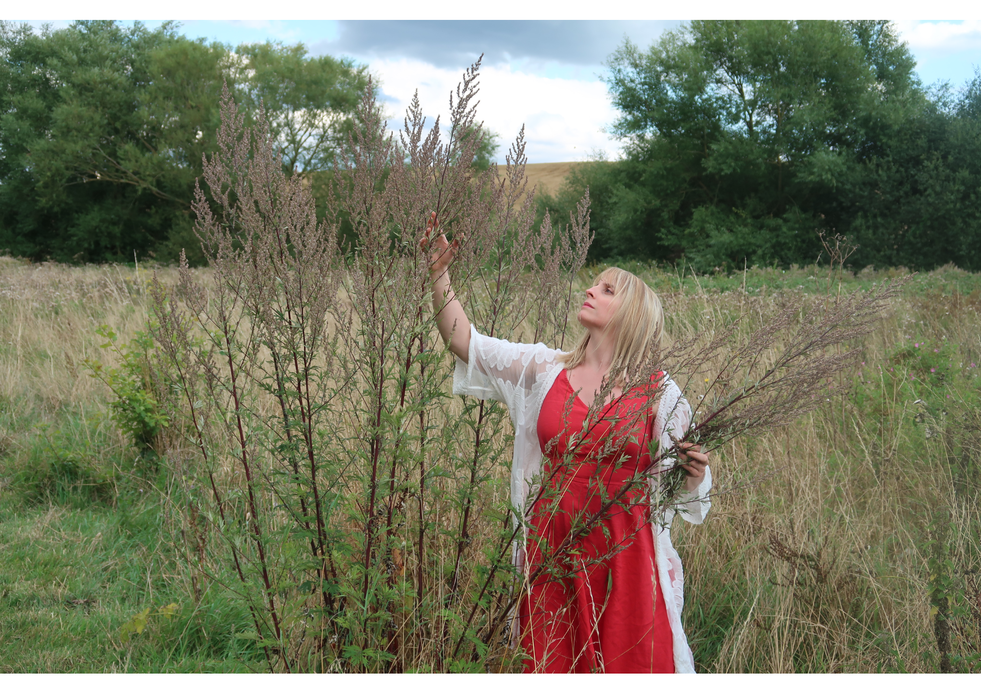 Small Group Private Camping with Yoga & Foraging Walk (NOT ACTIVE AS NEED TO DEFINE SMALL GROUP NUMBER)