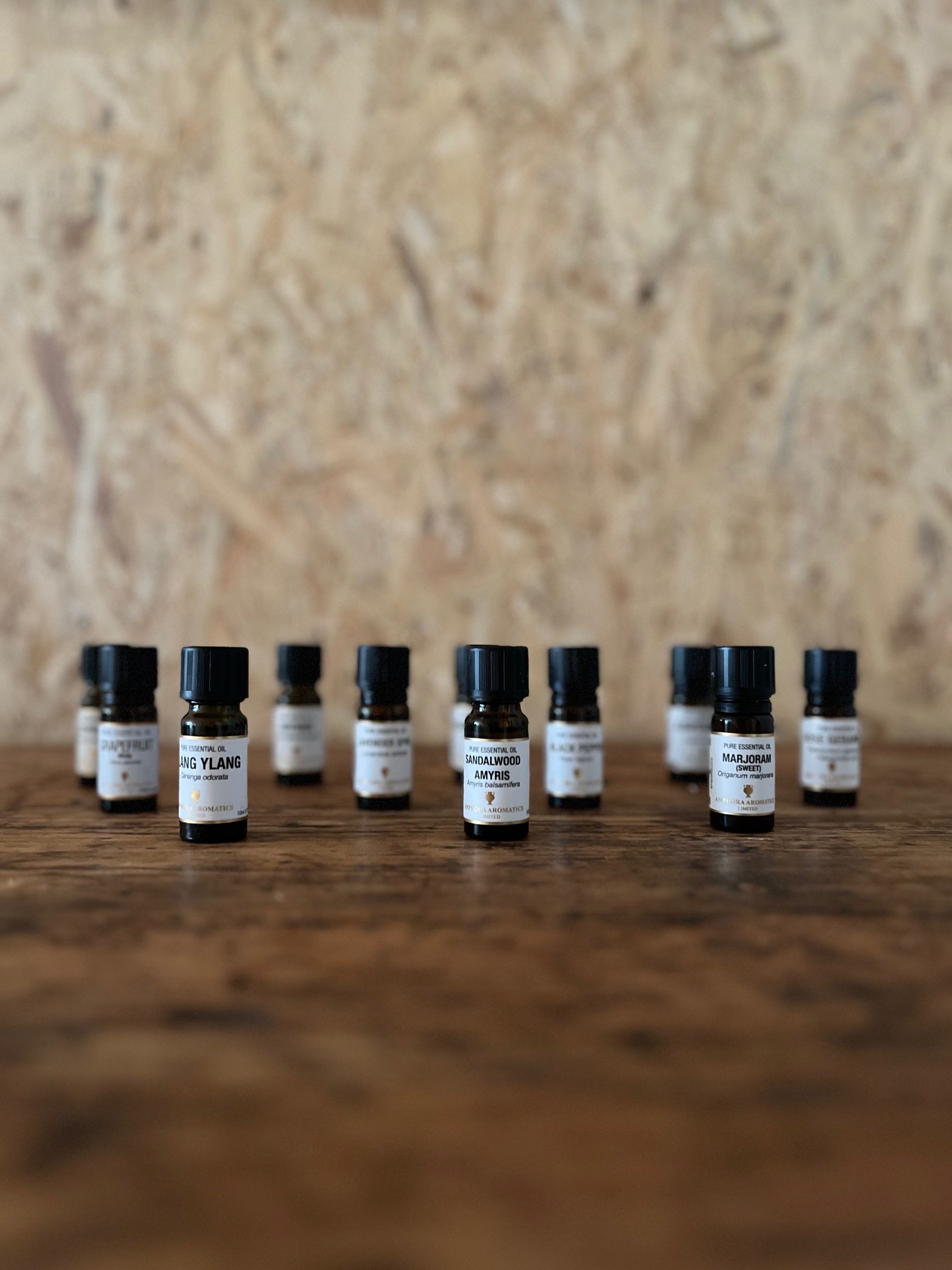 Aromatherapy Workshop