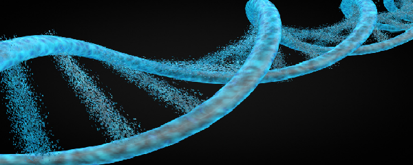 Functional Testing &amp; Feedback Sessions