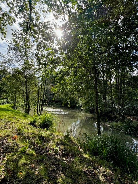 Calm, Connect, Create - One Day Retreat