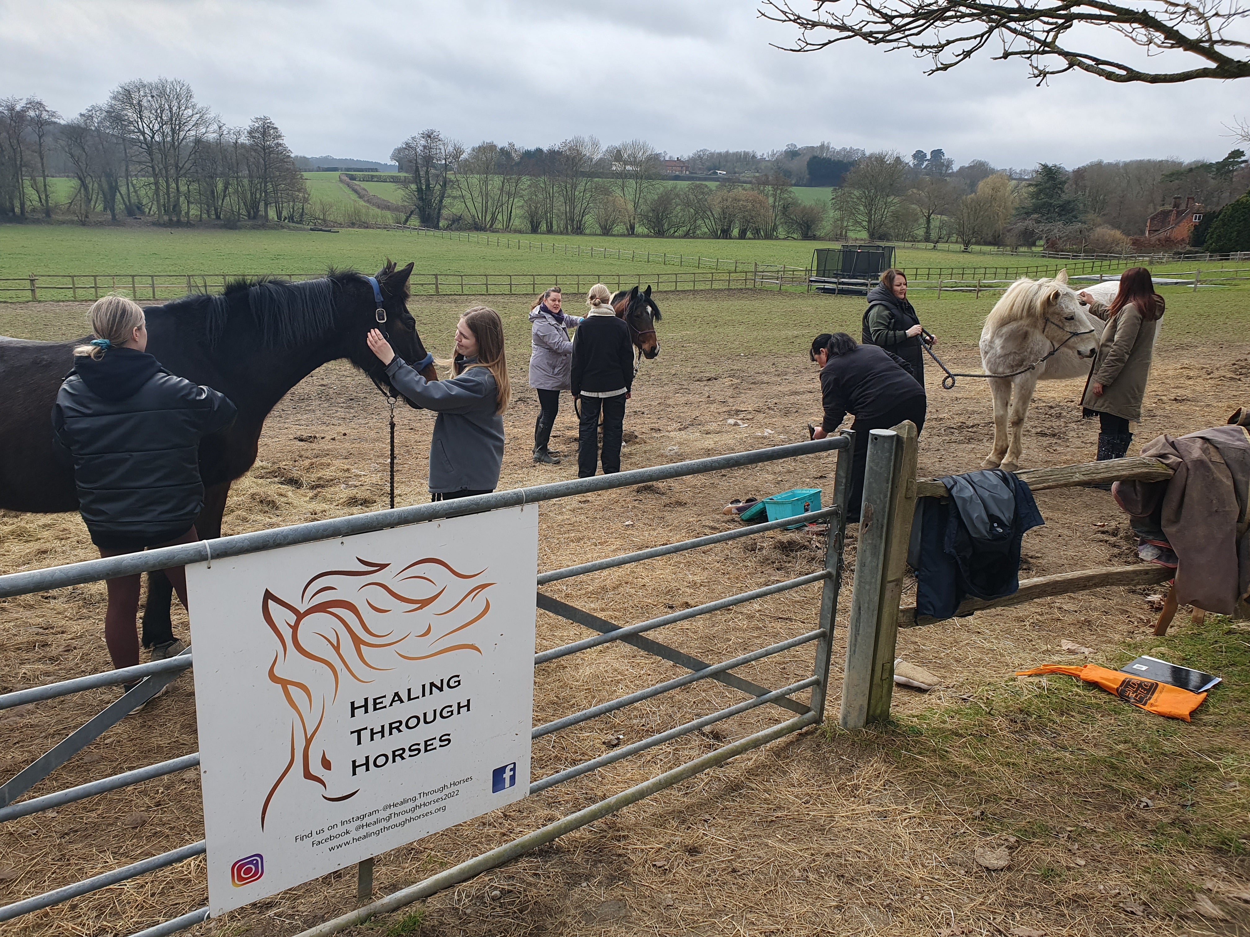 Healing Through Horses